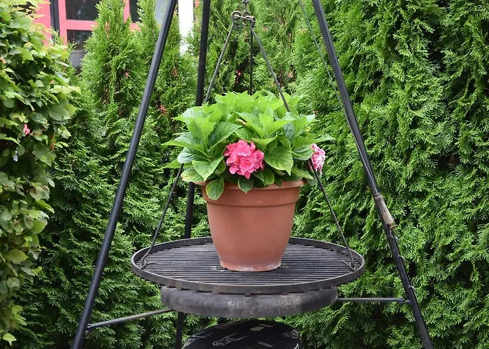 Niebuhrs 2* 프리드릭스돌프